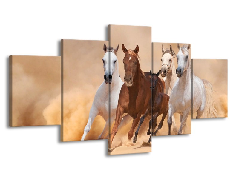 Canvas schilderij Paard | Bruin, Wit, Crème | 150x80cm 5Luik