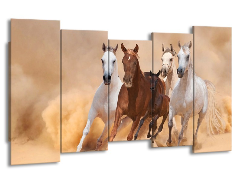 Canvas schilderij Paard | Bruin, Wit, Crème | 150x80cm 5Luik