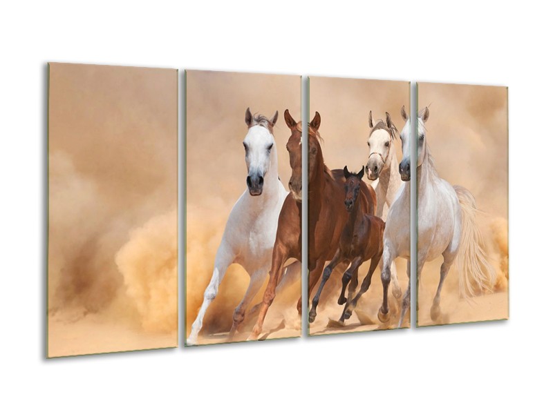 Canvas schilderij Paard | Bruin, Wit, Crème | 160x80cm 4Luik