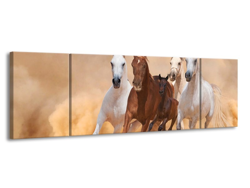 Canvas schilderij Paard | Bruin, Wit, Crème | 170x50cm 3Luik