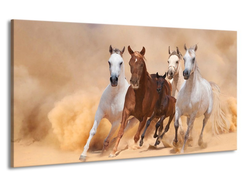 Canvas schilderij Paard | Bruin, Wit, Crème | 190x100cm 1Luik