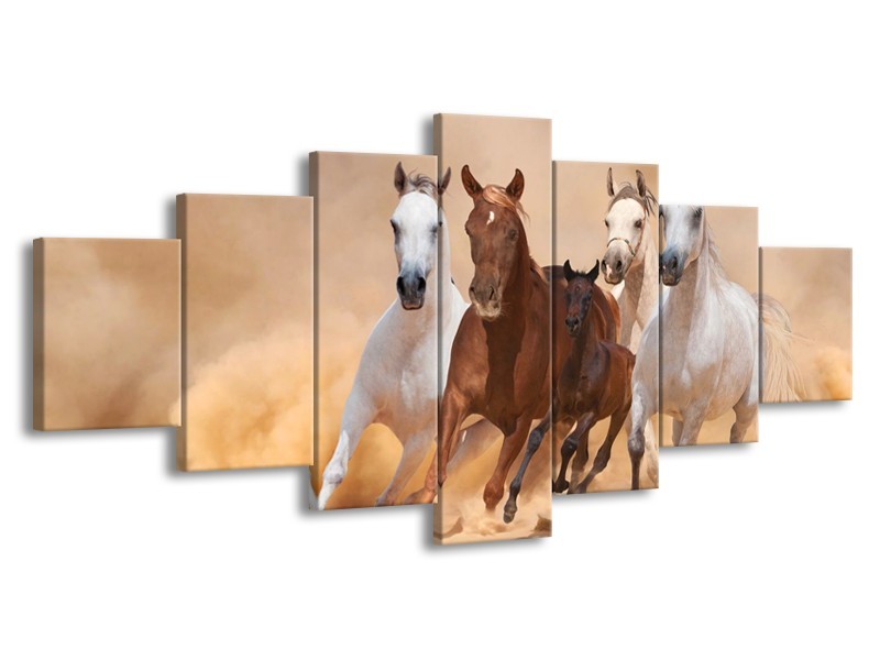 Canvas schilderij Paard | Bruin, Wit, Crème | 210x100cm 7Luik