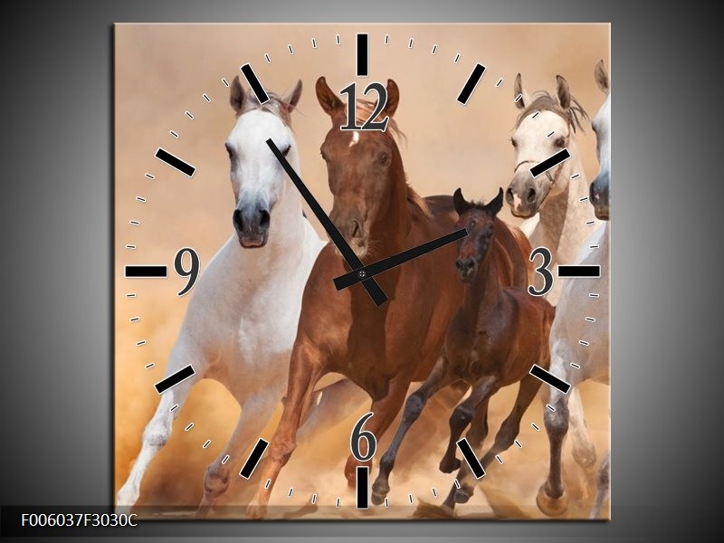 Klok schilderij Paard | Bruin, Wit, Crème | 30x30cm 1Luik