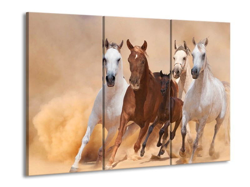 Canvas schilderij Paard | Bruin, Wit, Crème | 90x60cm 3Luik