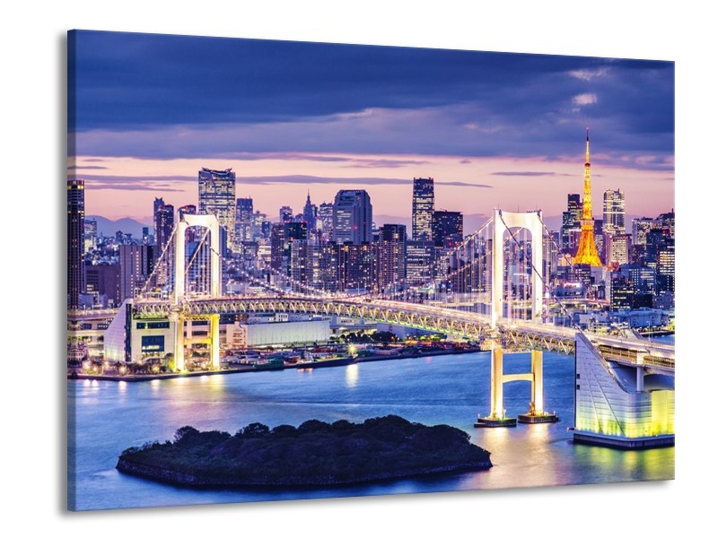 Glas schilderij Brug | Blauw, Grijs | 100x70cm 1Luik