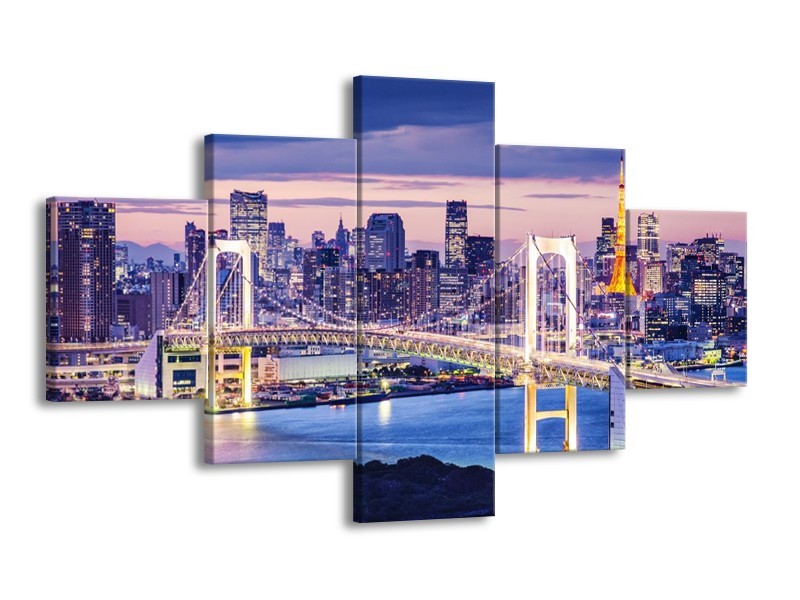 Glas schilderij Brug | Blauw, Grijs | 125x70cm 5Luik