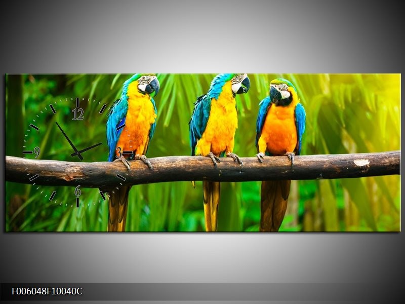Klok schilderij Vogels | Groen, Oranje, Blauw | 100x40cm 1Luik
