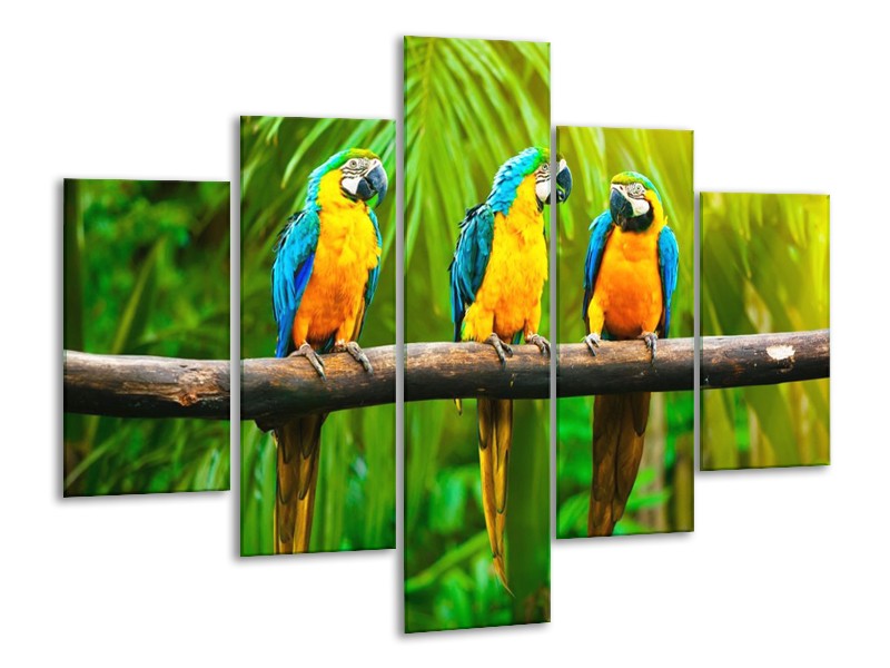 Glas schilderij Vogels | Groen, Oranje, Blauw | 100x70cm 5Luik