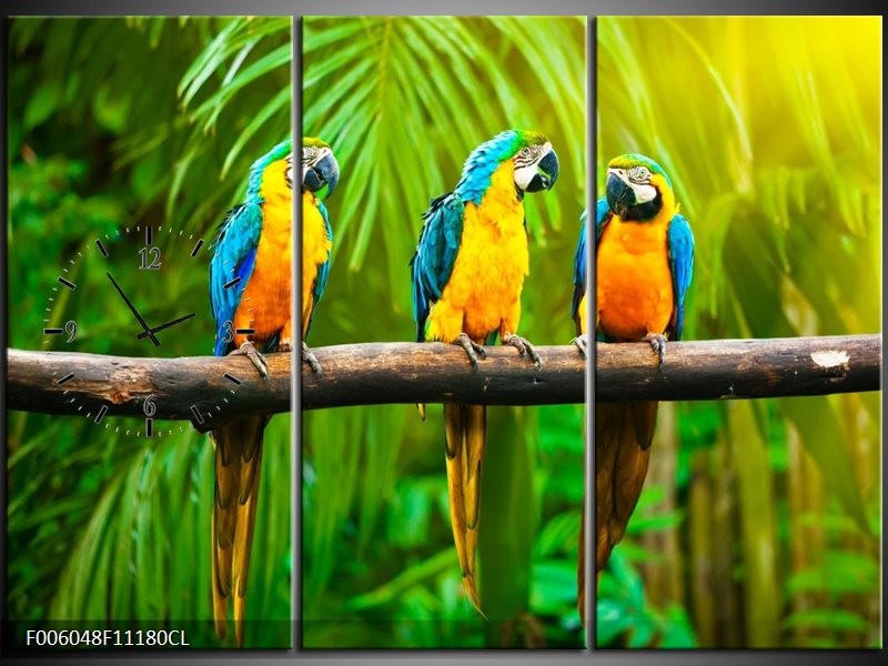 Klok schilderij Vogels | Groen, Oranje, Blauw | 111x80cm 3Luik