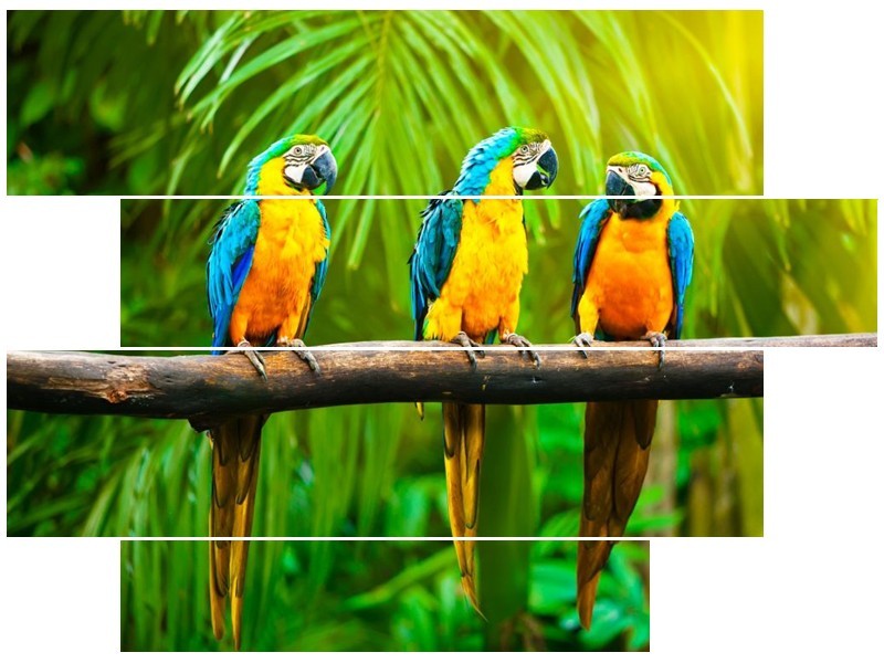 Canvas schilderij Vogels | Groen, Oranje, Blauw | 115x85cm 4Luik