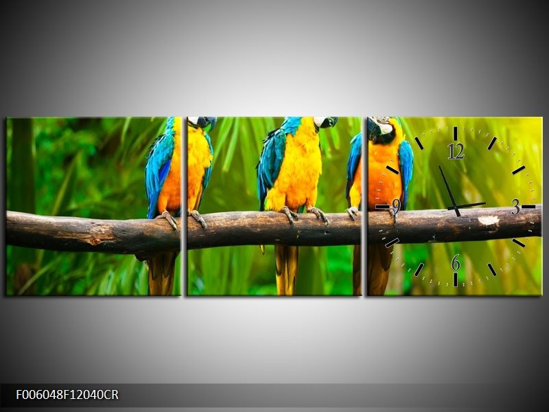 Klok schilderij Vogels | Groen, Oranje, Blauw | 120x40cm 3Luik