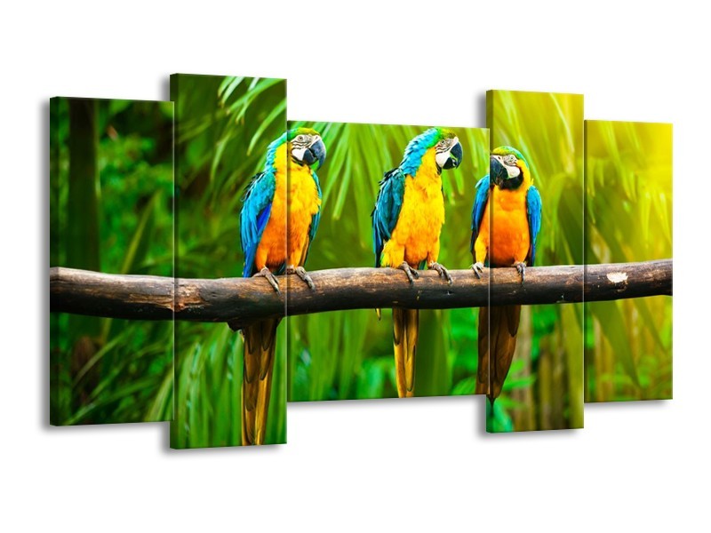 Canvas schilderij Vogels | Groen, Oranje, Blauw | 120x65 5Luik