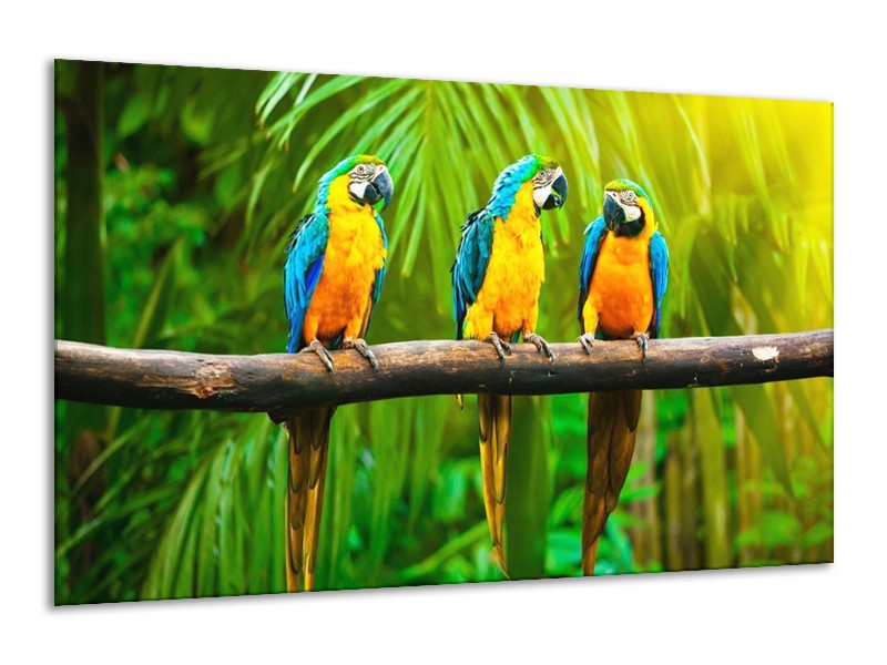 Canvas schilderij Vogels | Groen, Oranje, Blauw | 120x70cm 1Luik