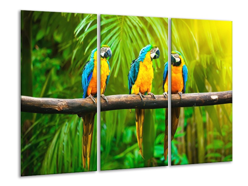 Canvas schilderij Vogels | Groen, Oranje, Blauw | 120x80cm 3Luik