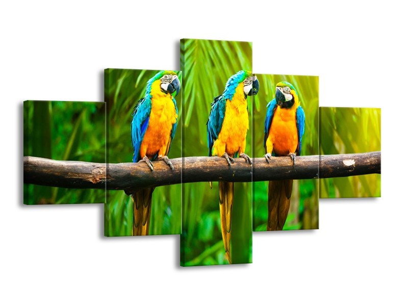 Canvas schilderij Vogels | Groen, Oranje, Blauw | 125x70cm 5Luik