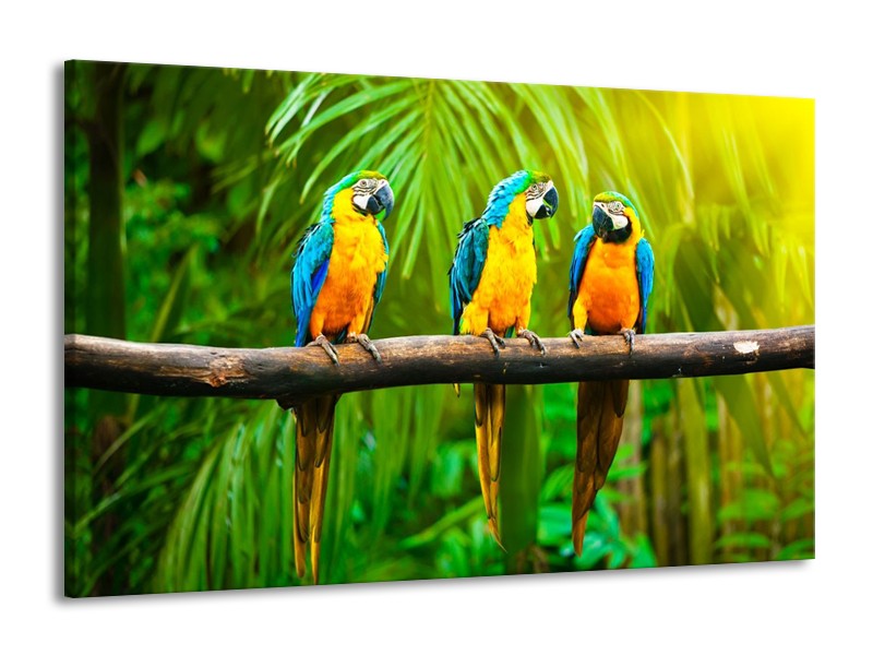 Canvas schilderij Vogels | Groen, Oranje, Blauw | 140x90cm 1Luik