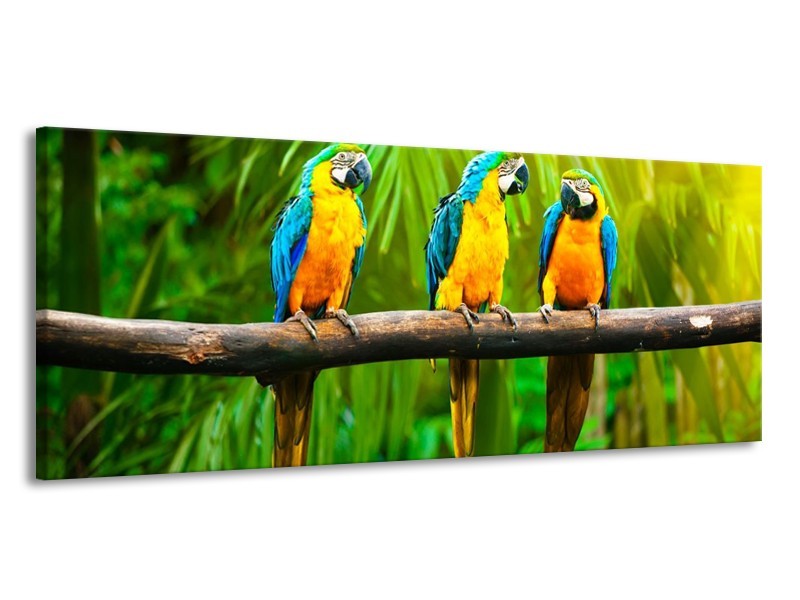 Canvas schilderij Vogels | Groen, Oranje, Blauw | 145x58cm 1Luik