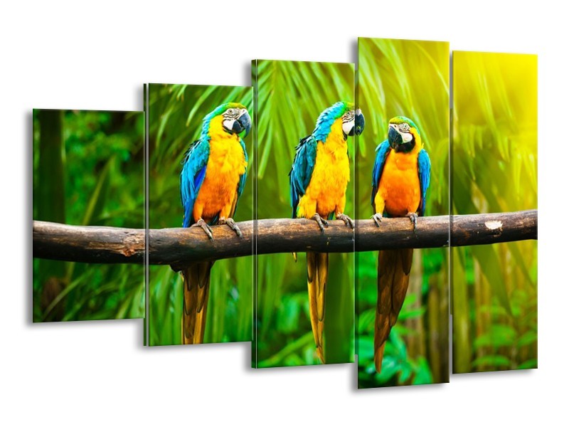 Canvas schilderij Vogels | Groen, Oranje, Blauw | 150x100cm 5Luik