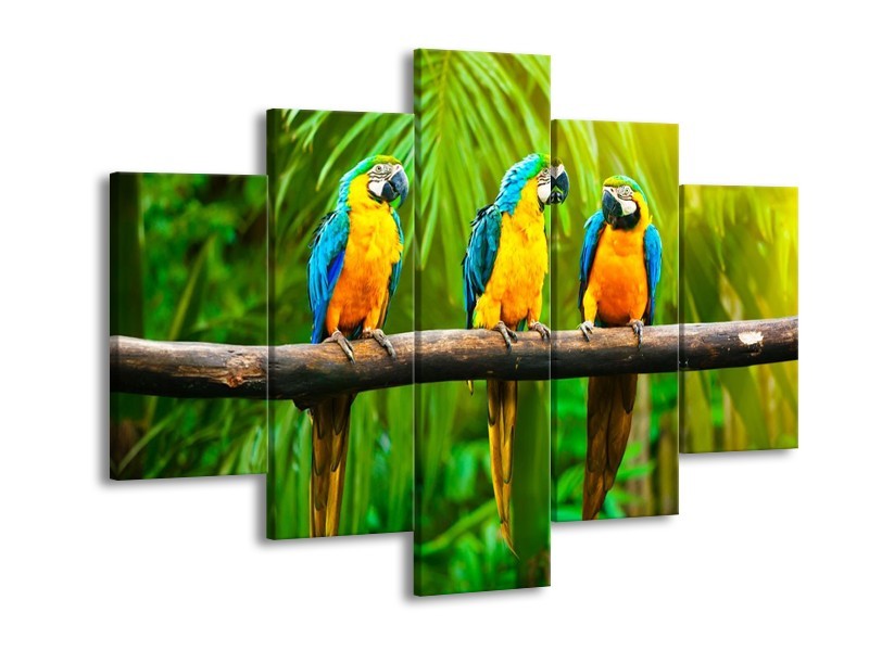 Glas schilderij Vogels | Groen, Oranje, Blauw | 150x105cm 5Luik