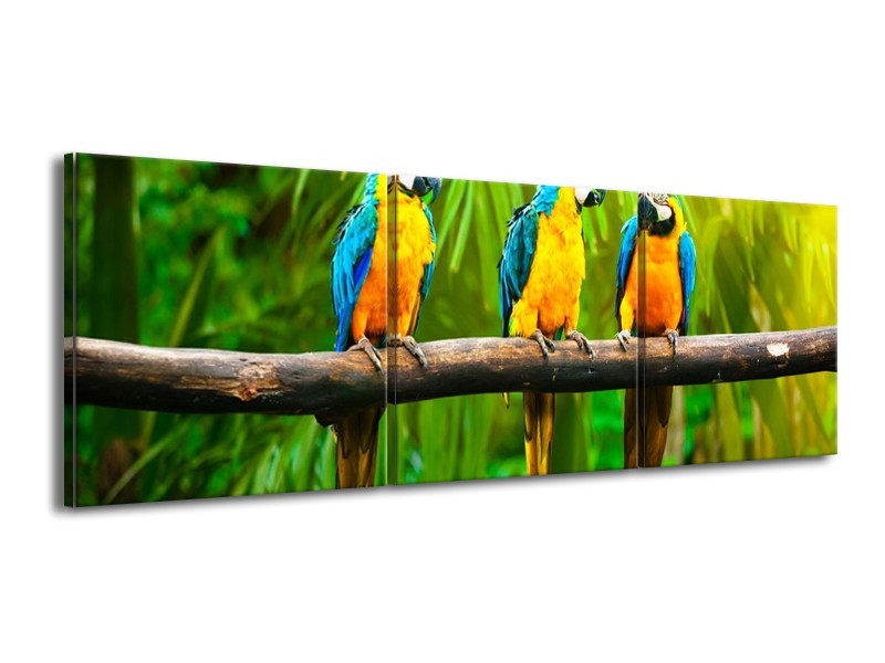 Glas schilderij Vogels | Groen, Oranje, Blauw | 150x50cm 3Luik