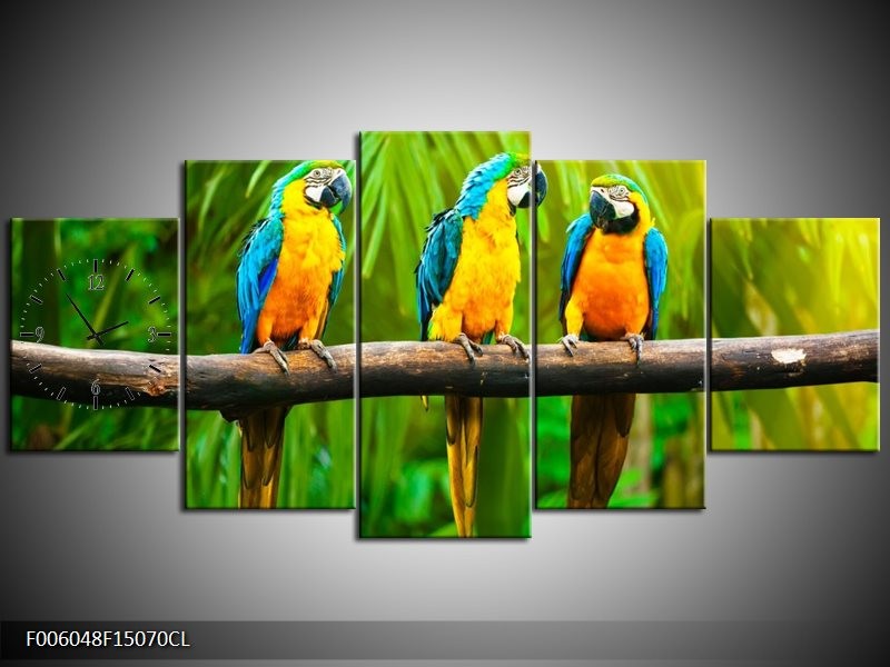 Klok schilderij Vogels | Groen, Oranje, Blauw | 150x70cm 5Luik