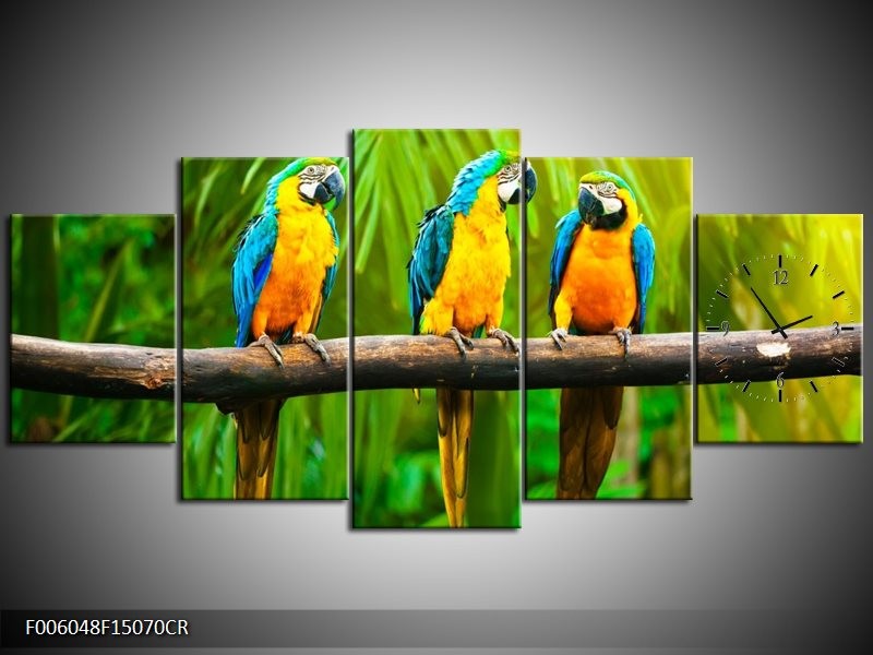 Klok schilderij Vogels | Groen, Oranje, Blauw | 150x70cm 5Luik