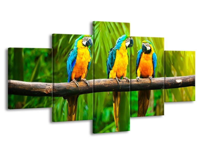 Canvas schilderij Vogels | Groen, Oranje, Blauw | 150x80cm 5Luik