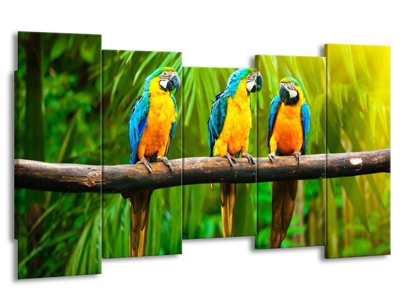 Canvas schilderij Vogels | Groen, Oranje, Blauw | 150x80cm 5Luik