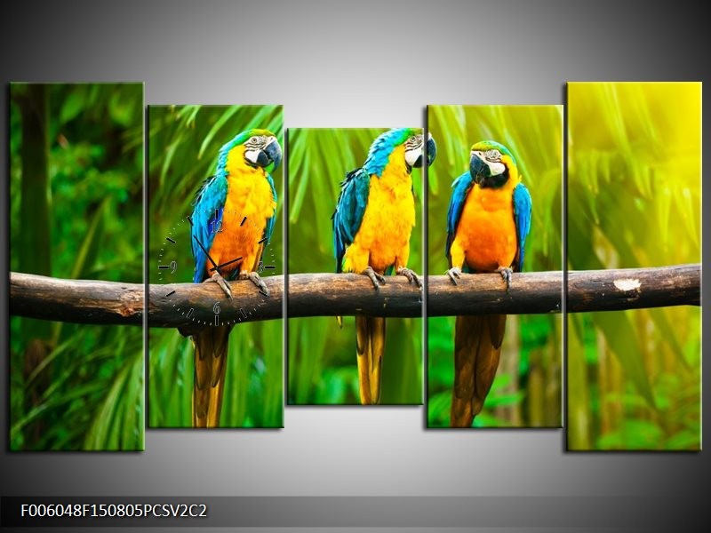 Klok schilderij Vogels | Groen, Oranje, Blauw | 150x80cm 5Luik
