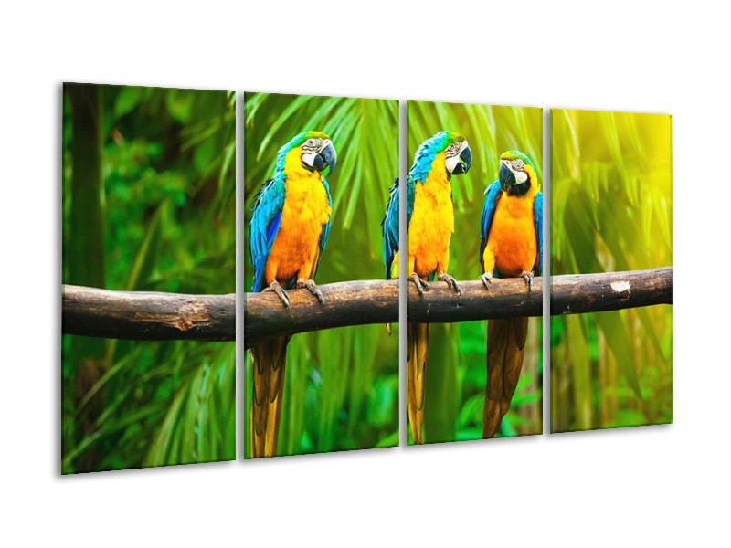 Canvas schilderij Vogels | Groen, Oranje, Blauw | 160x80cm 4Luik