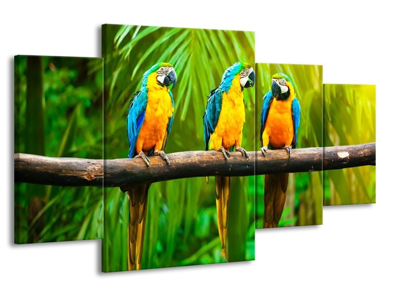 Canvas schilderij Vogels | Groen, Oranje, Blauw | 160x90cm 4Luik