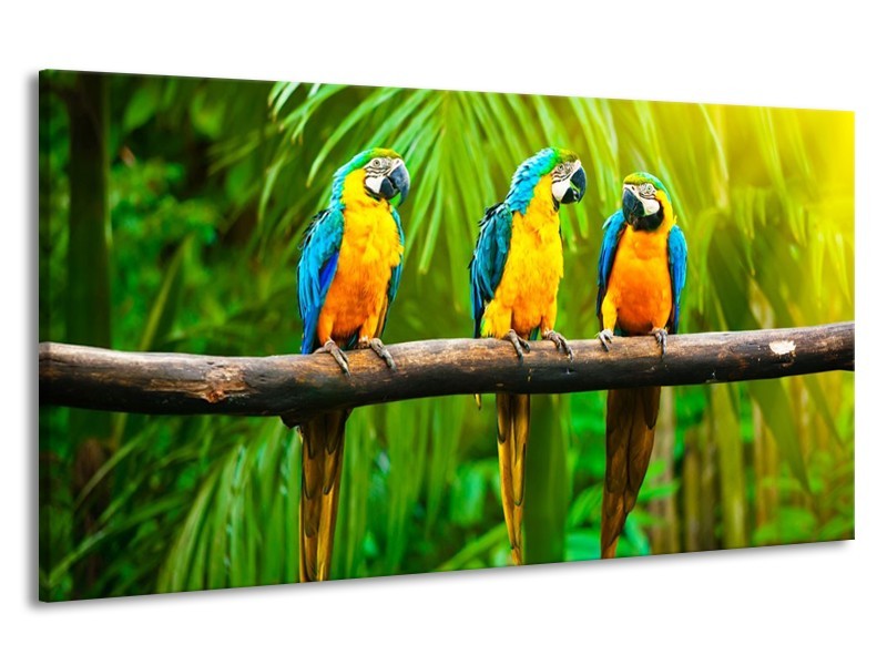 Canvas schilderij Vogels | Groen, Oranje, Blauw | 190x100cm 1Luik