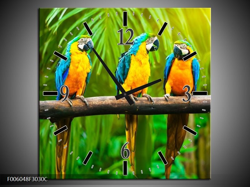 Klok schilderij Vogels | Groen, Oranje, Blauw | 30x30cm 1Luik