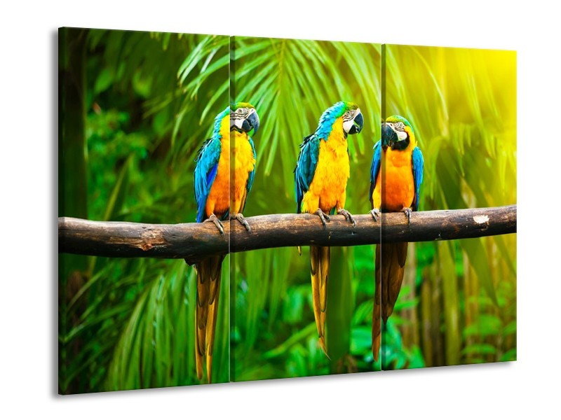 Canvas schilderij Vogels | Groen, Oranje, Blauw | 90x60cm 3Luik