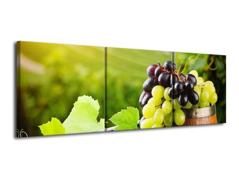 Canvas schilderij Frankrijk | Groen, Bruin | 120x40cm 3Luik