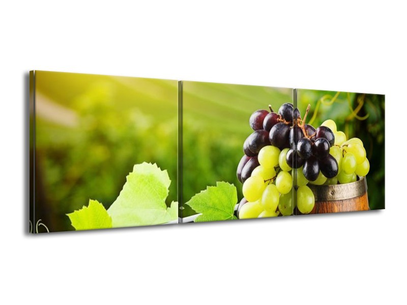 Canvas schilderij Frankrijk | Groen, Bruin | 150x50cm 3Luik