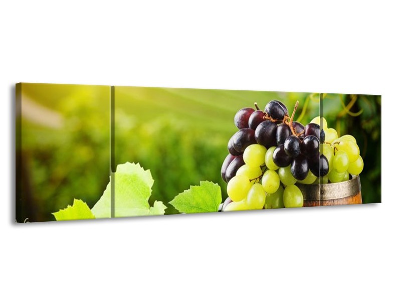 Canvas schilderij Frankrijk | Groen, Bruin | 170x50cm 3Luik