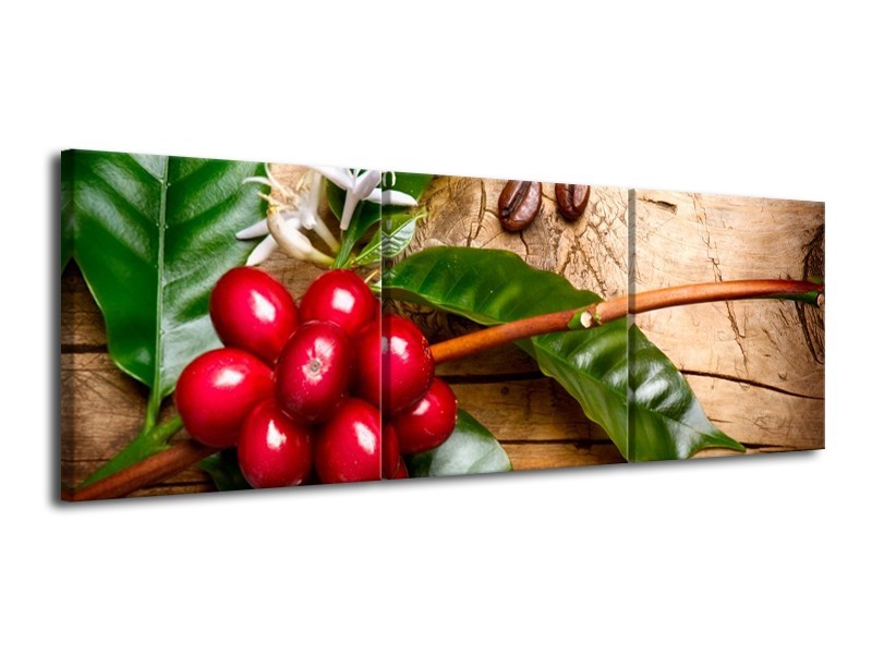 Canvas schilderij Keuken | Rood, Groen, Bruin | 120x40cm 3Luik