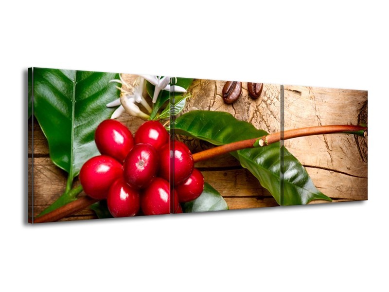 Canvas schilderij Keuken | Rood, Groen, Bruin | 150x50cm 3Luik