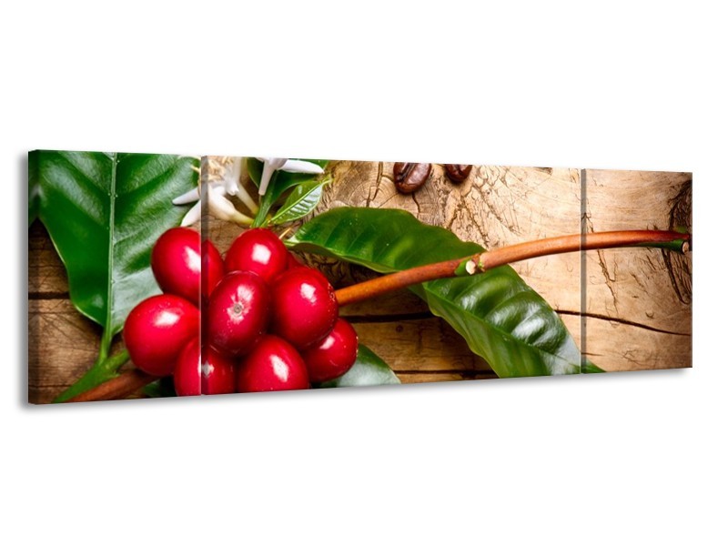 Canvas schilderij Keuken | Rood, Groen, Bruin | 170x50cm 3Luik