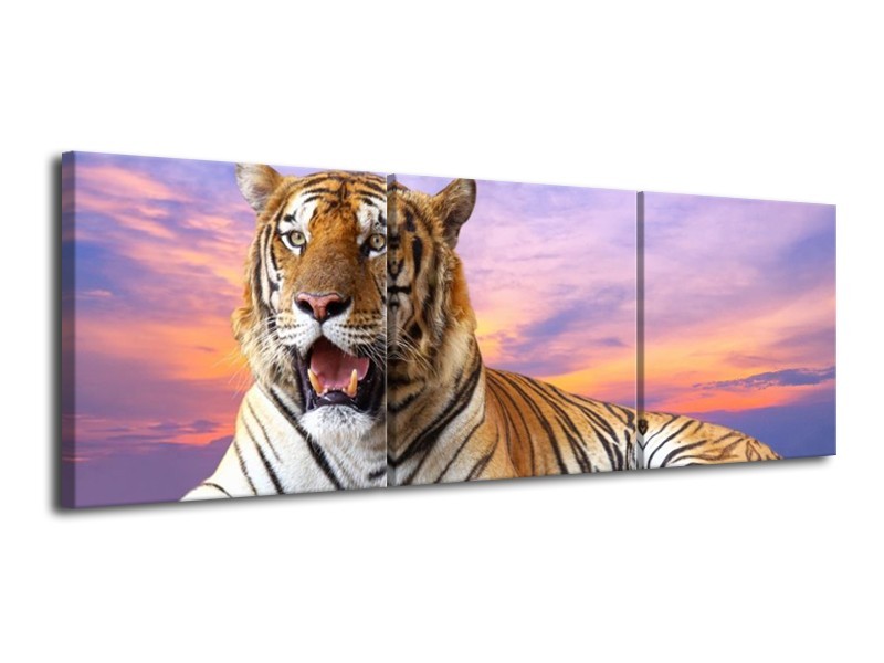 Canvas schilderij Tijger | Bruin, Wit, Blauw | 120x40cm 3Luik