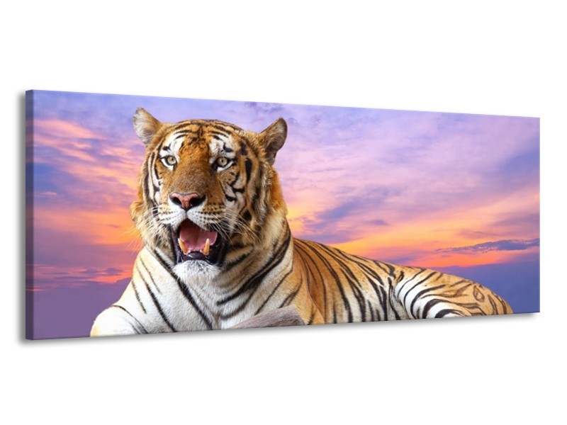 Canvas schilderij Tijger | Bruin, Wit, Blauw | 145x58cm 1Luik