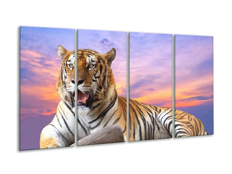 Glas schilderij Tijger | Bruin, Wit, Blauw | 160x80cm 4Luik