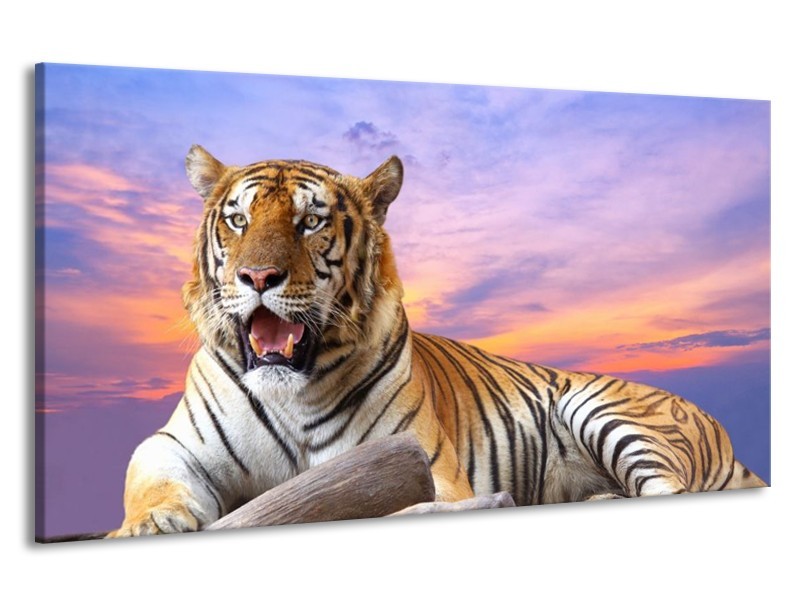 Canvas schilderij Tijger | Bruin, Wit, Blauw | 190x100cm 1Luik