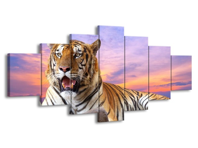 Canvas schilderij Tijger | Bruin, Wit, Blauw | 210x100cm 7Luik