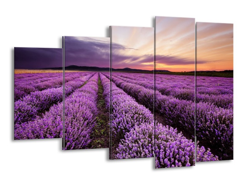 Canvas schilderij Lavendel | Paars | 150x100cm 5Luik