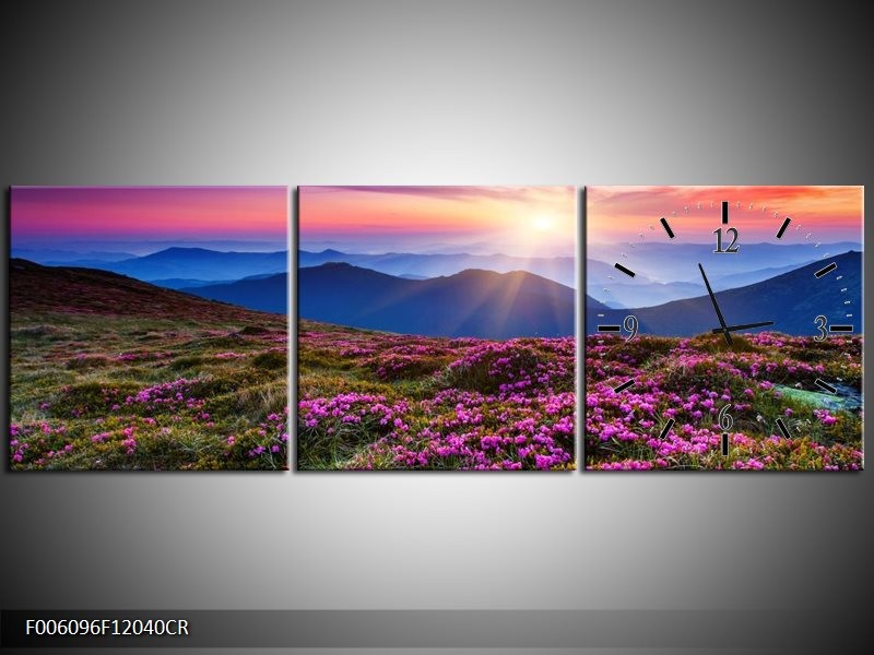 Klok schilderij Natuur | Paars, Roze, Blauw | 120x40cm 3Luik