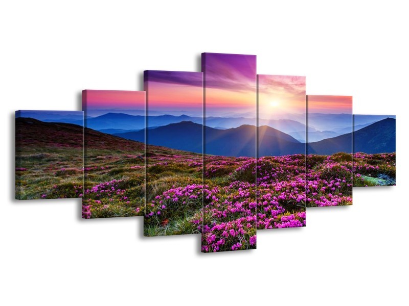 Glas schilderij Natuur | Paars, Roze, Blauw | 210x100cm 7Luik