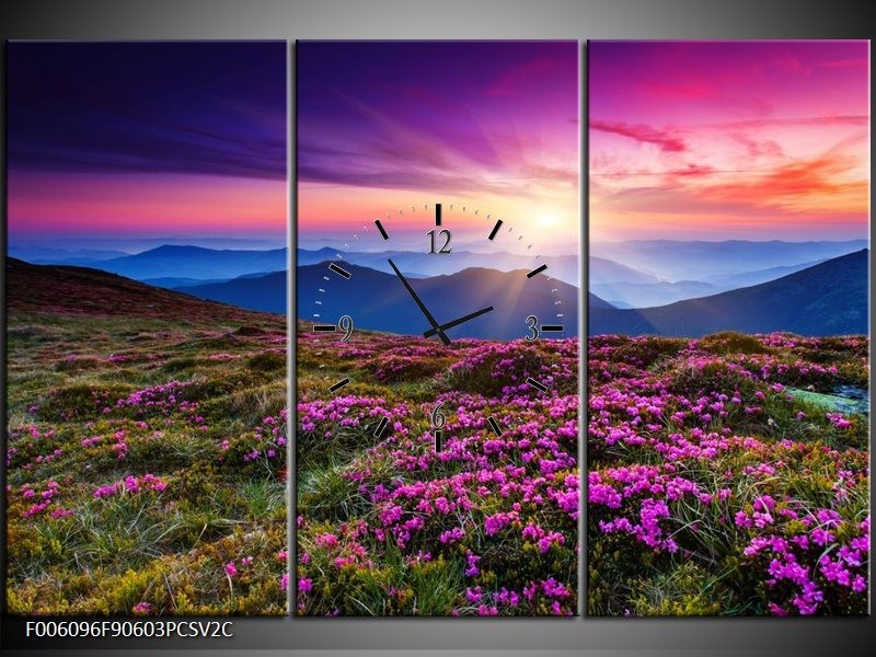 Klok schilderij Natuur | Paars, Roze, Blauw | 90x60cm 3Luik
