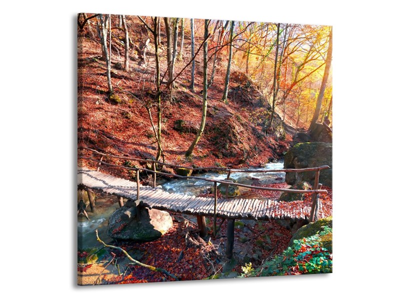 Canvas schilderij Herfst | Geel, Bruin | 50x50cm 1Luik